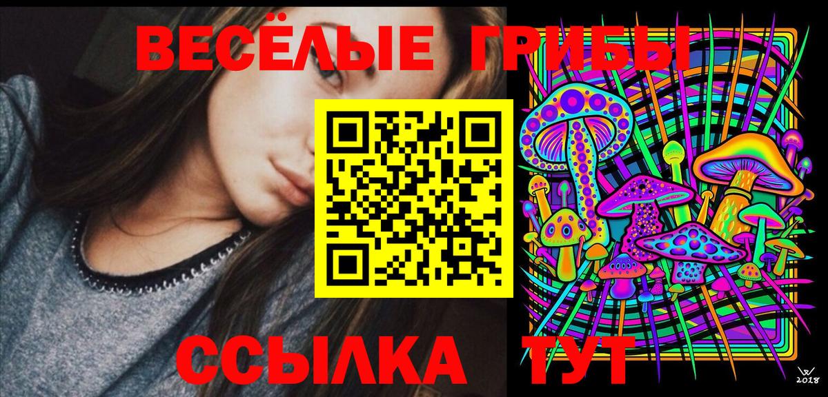 Псилоцибиновые грибы Cubensis  Вход с VPN  Краснознаменск  Галлюциногенные грибы Psilocybe 